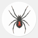 Buscar viuda negra pegatinas Naturaleza