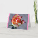 Buscar solo amarillo tarjetas Rosa