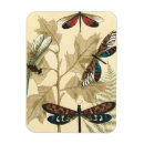 Buscar libélulas imanes Animales