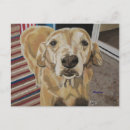 Buscar lealtad postales Perros