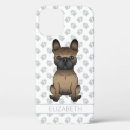 Buscar frenchie fundas Lindo