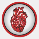 Buscar anatomía del corazón pegatinas Ilustracion