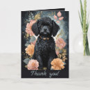 Buscar bebés animales tarjetas Para ella