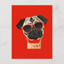 Buscar jefe postales General y unisex