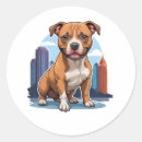 Buscar bull terrier pegatinas Amante
