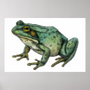 Buscar toro posters Imprimir