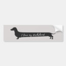 Buscar doxie pegatinas parachoque Perrito caliente
