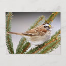 Buscar animales salvajes postales Invierno