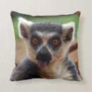 Buscar lemur cojines Divertido