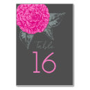 Buscar camelia rosada Flor