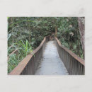 Buscar queensland postales Bosque