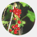 Buscar grosero redondas pegatinas Naturaleza
