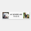 Buscar cara del boxeador Perro