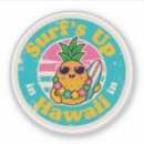 Buscar surfer pegatinas Tropical