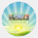 Buscar doge pegatinas Dogma
