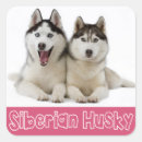 Buscar husky siberiano pegatinas Cachorro