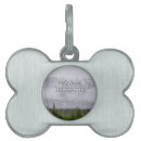 Buscar belleza mascotas Paisaje