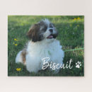 Buscar huellas puzzles General y unisex