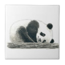 Buscar oso panda azulejos Lindo