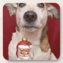 Buscar aduana cristaleria bar Canino