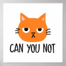 Buscar enfadado posters Gato divertido
