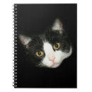 Buscar gato blanco y negro cuadernos Esmoquin