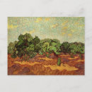 Buscar olivares postales Vincent van gogh