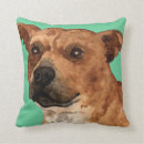 Buscar staffordshire bull terrier cojines Staffy