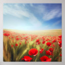 Buscar amapola azul posters Amapolas