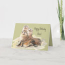 Buscar boss tarjetas Lindo