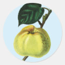 Buscar manzana verde pegatinas General y unisex