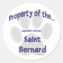 Buscar saint bernard pegatinas Santo