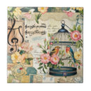 Buscar jaula azulejos Pájaros