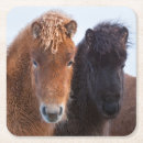 Buscar cabeza de caballo posavasos Equus caballus