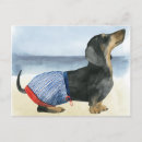 Buscar calientes postales Perro