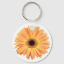 Buscar gerbera llaveros Pétalos