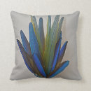 Buscar plumas azules cojines Loro