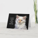 Buscar siamés tarjetas Gato