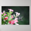 Buscar formado fotografía Naturaleza
