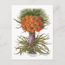 Buscar vintage botanical postales Para todos