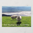 Buscar ovejas invitaciones General y unisex