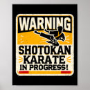 Buscar karateka posters Maestro de karate