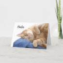 Buscar mermelada tarjetas Gatito