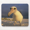 Buscar atolón alfombrillas de raton Isla