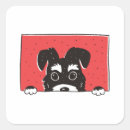 Buscar amante del schnauzer postales Schnauzer en miniatura