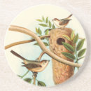 Buscar pájaros posavasos Árbol