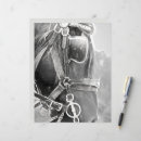 Buscar ecuestre manualidades Equino