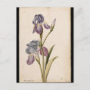 Buscar botánico francés postales Para todos