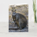 Buscar wallaby tarjetas Canguro