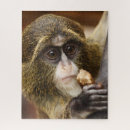 Buscar monos puzzles Animales